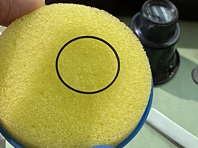 GSの裏蓋(ライオンメダリオン)