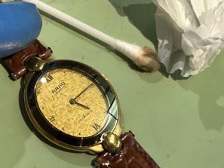 作業後のRADO FLORENCE 正面外観（拭き上げ後）