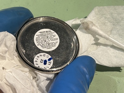 グリスアップした防水パッキンを、ピンセットを使って裏蓋の外周溝にねじれなく再装着している様子